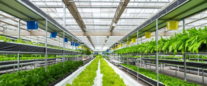 農(nóng)業(yè)物聯(lián)網(wǎng)的作用？農(nóng)業(yè)物聯(lián)網(wǎng)都應(yīng)用在哪？