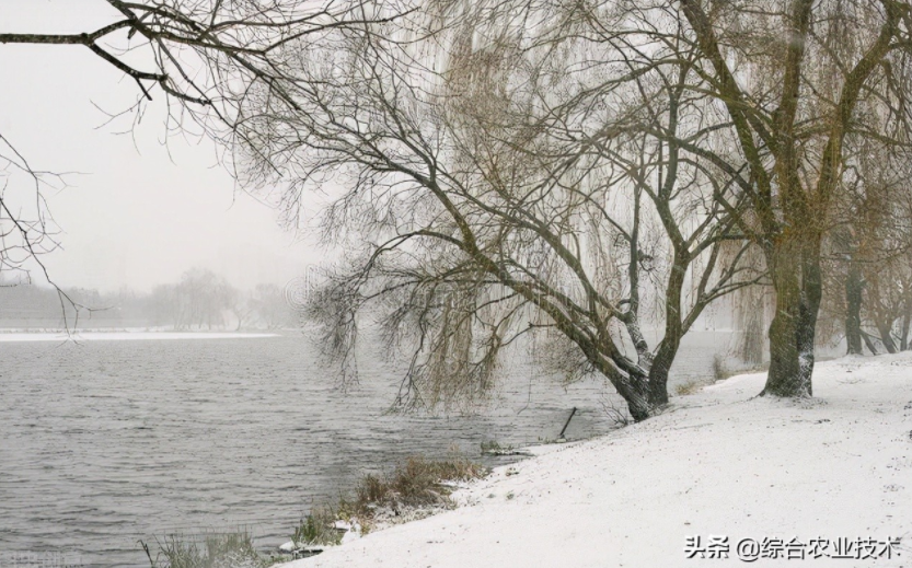 玉米地病蟲害越來越重，冬季閑了有辦法預(yù)防病蟲害嗎？