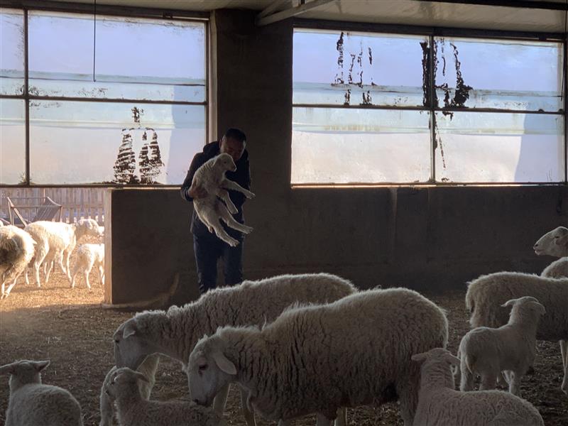 &ldquo;抱團(tuán)&rdquo;謀發(fā)展 合作社&ldquo;錢&rdquo;途無量