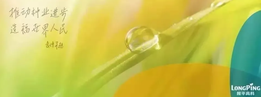 農民日報 | 中信農業著力構建“產業+科技+金融”綜合發展平臺——精準布局國內外種業市場