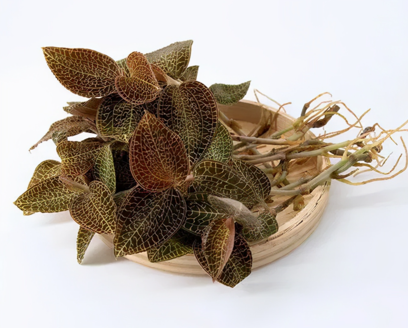 「植物工廠」為中藥材產業插上&ldquo;科技翅膀&rdquo;