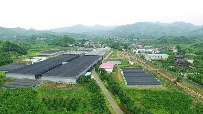 &ldquo;未來農場&rdquo;的德清實踐