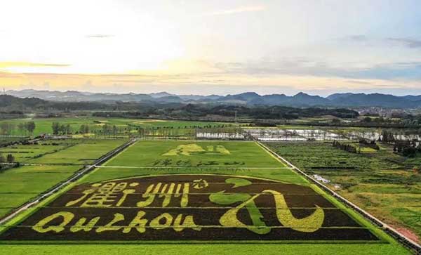 大地量子 &ldquo;數字地球PaaS平臺&rdquo; 被評為2021數字鄉村大腦十強