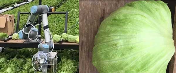 智慧農業的未來&mdash;&mdash;5款人工智能農業機器人