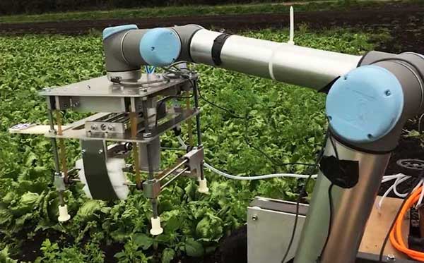 智慧農業的未來&mdash;&mdash;5款人工智能農業機器人