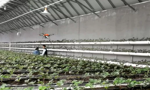 海淀延慶攜手，打造農業跨區域結對協作示范標桿