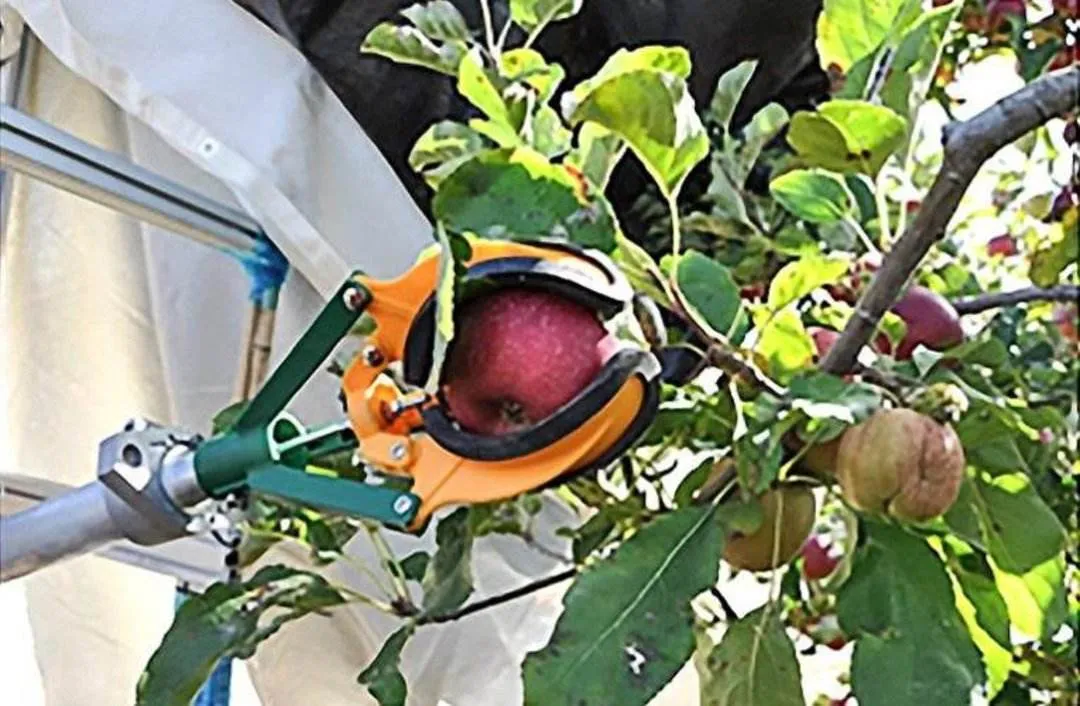 明確了！&ldquo;十四五&rdquo;重點研制這些農業機器人！