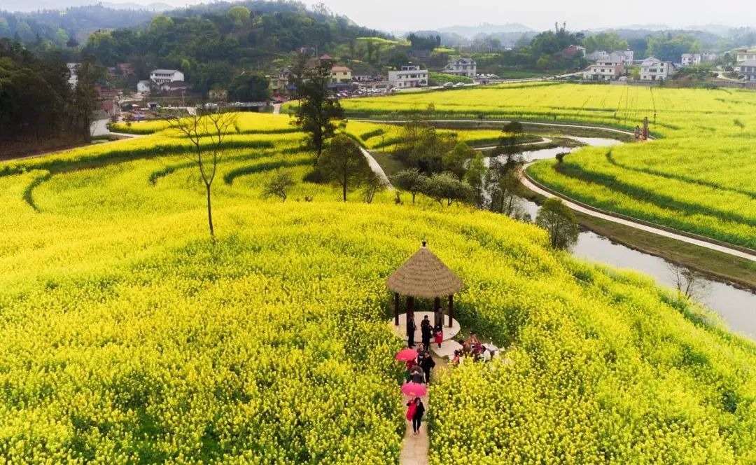 &ldquo;特色小鎮&rdquo;接連失敗，農村旅游開發如何做？