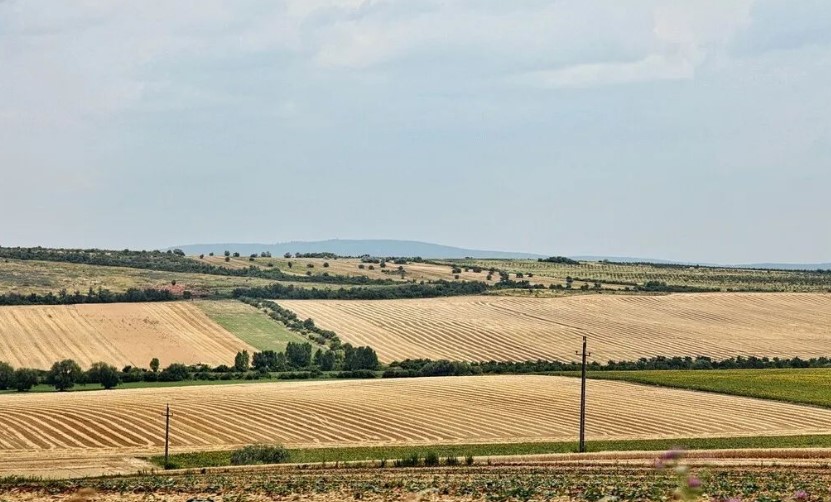 2022耕地地力保護補貼各地新標準，一畝補多少錢？速看