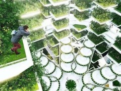 資本青睞的“垂直農(nóng)業(yè)”,能代表農(nóng)業(yè)的未來(lái)嗎?