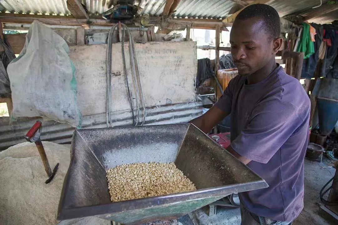 支持面向小農(nóng)戶的氣候智慧型農(nóng)業(yè)創(chuàng)新國(guó)家