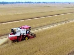 穩(wěn)了!“中原糧倉”實現(xiàn)麥收供需對接全覆蓋!