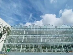 棚內(nèi)28攝氏度!嘉興這里的數(shù)字農(nóng)業(yè)車間很“清涼”