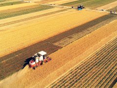 李天祥 鐘鈺：高質量建設國家糧食安全產業(yè)帶