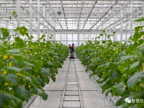 農業部出手，智慧農業將迎來七個方面全面突破！