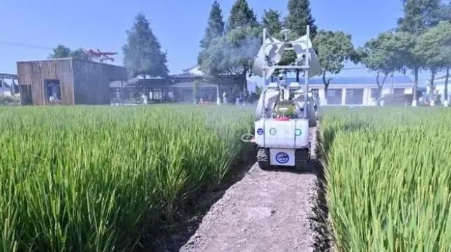 上海智慧農(nóng)場：5G讓無人農(nóng)機在田間“跑”起來