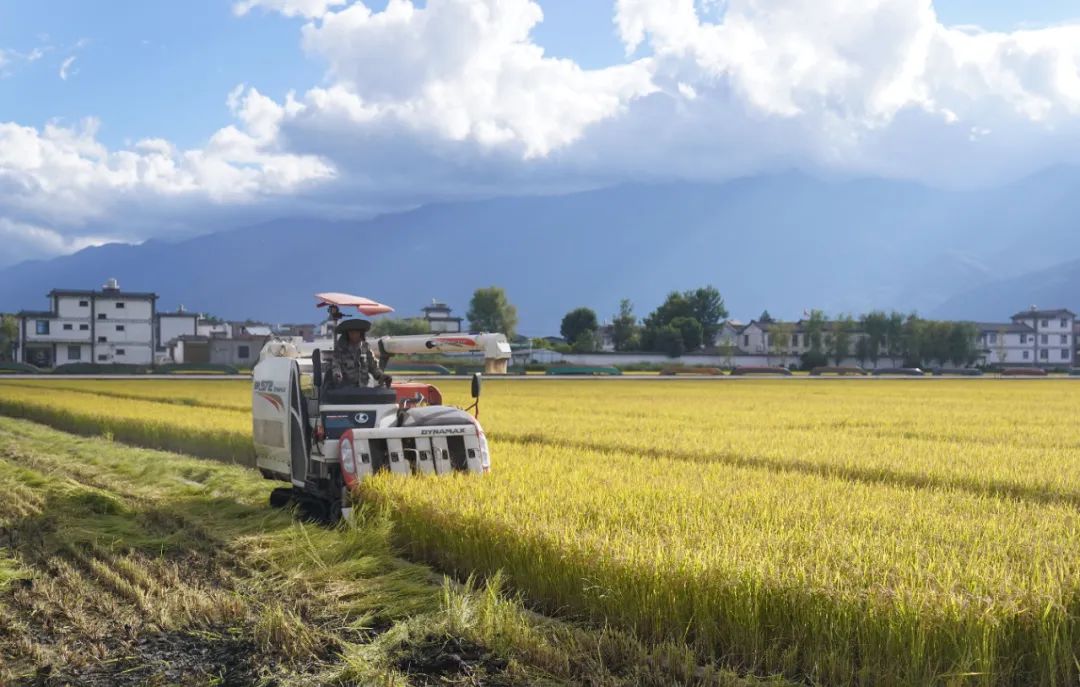 農(nóng)民日報仲農(nóng)平文章：日出東方 農(nóng)道大光