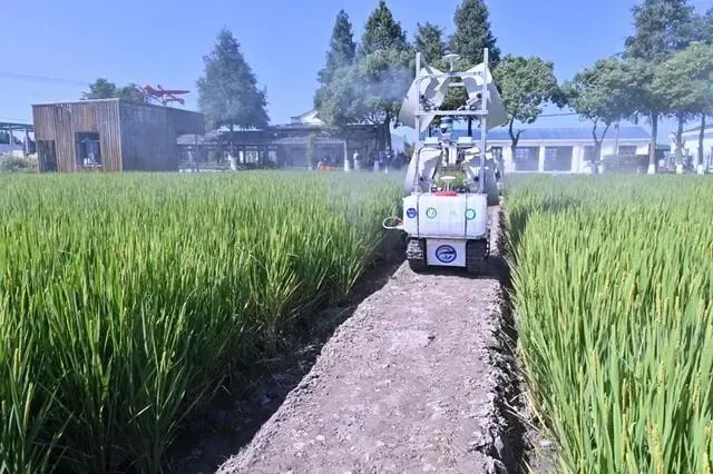 上海獎補無人農(nóng)場建設(shè) 上海獎補無人農(nóng)場建設(shè)