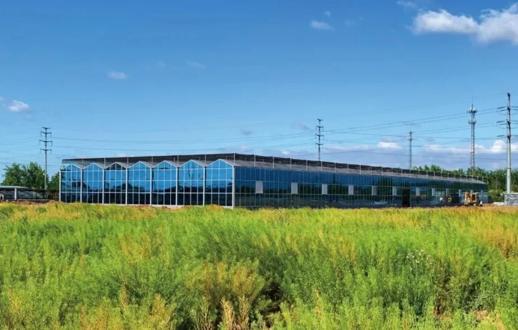 2023年農(nóng)業(yè)農(nóng)村部重點扶持的28類項目 2023年農(nóng)業(yè)農(nóng)村部重點扶持的28類項目