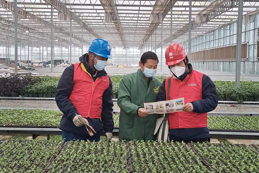 江西貴溪:“優質電”澆灌特色農業結出“致富果” 江西貴溪:“優質電”澆灌特色農業結出“致富果”