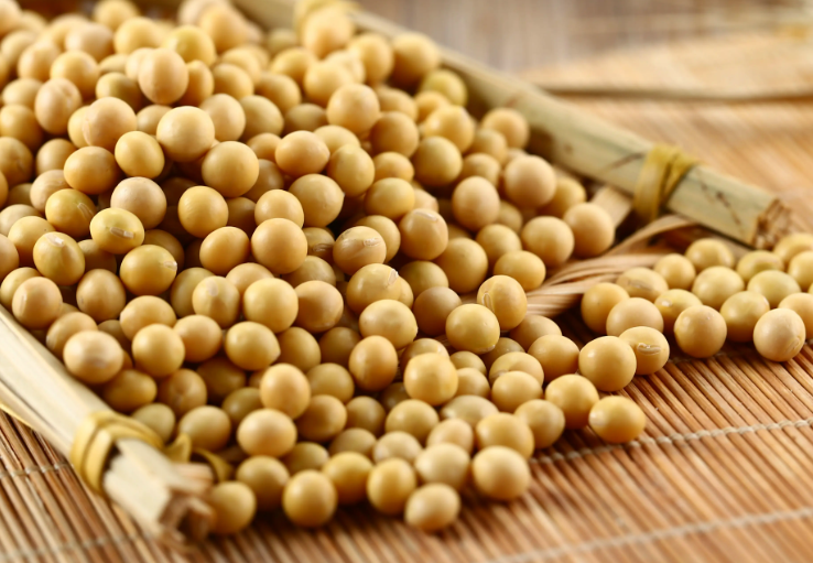 充分發(fā)揮大豆在我國食物系統(tǒng)中的獨(dú)特價值