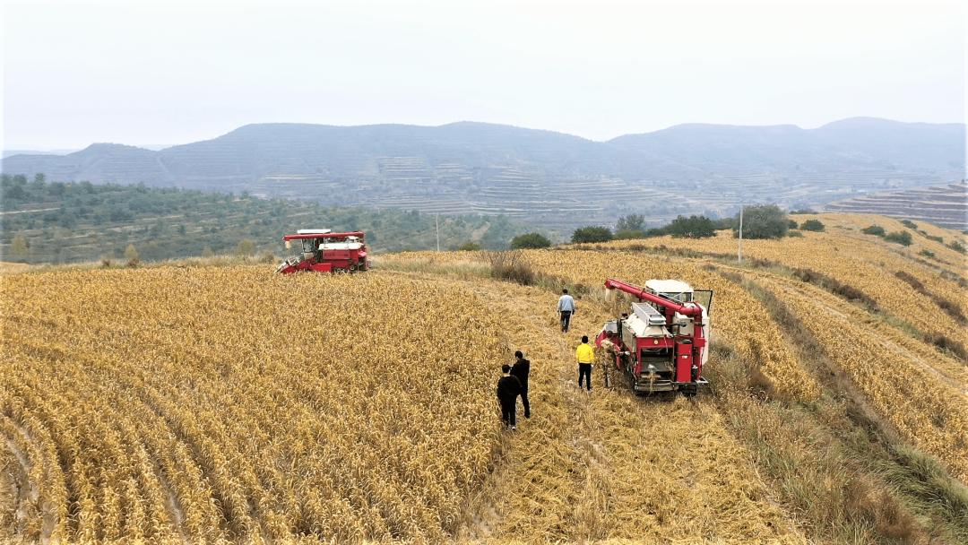 中央對(duì)農(nóng)機(jī)補(bǔ)貼提新要求，分量很重