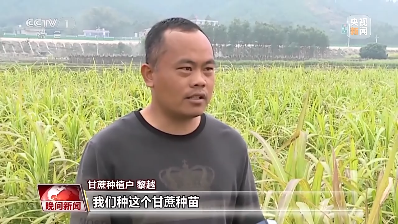 全力備春耕 科學(xué)育種做強(qiáng)農(nóng)業(yè)“芯片” 全力備春耕 科學(xué)育種做強(qiáng)農(nóng)業(yè)“芯片”