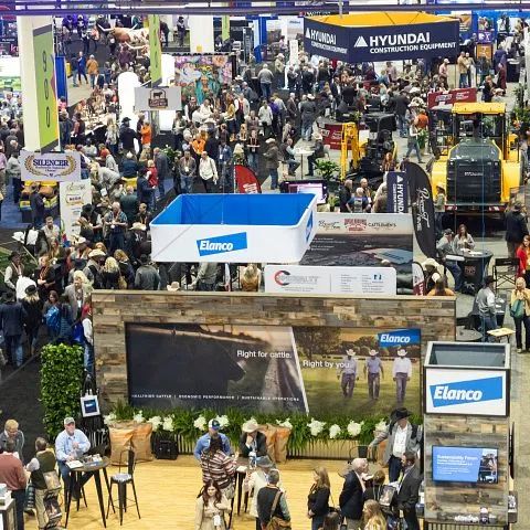 新奧爾良奶業(yè)大會展出最新飼料設備