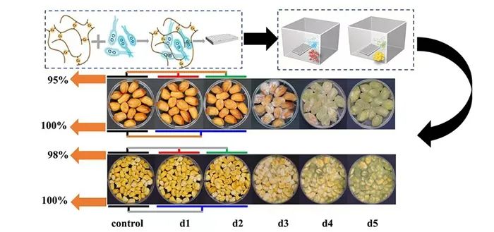 科研進展丨無損高準確度監測糧食霉變新技術研發成功