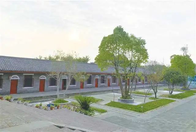 中國工程院院士、中國農業大學教授張福鎖：科技小院為什么行？