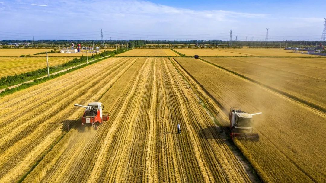 中國農(nóng)學(xué)會發(fā)布“36條農(nóng)業(yè)農(nóng)村重大科學(xué)命題”