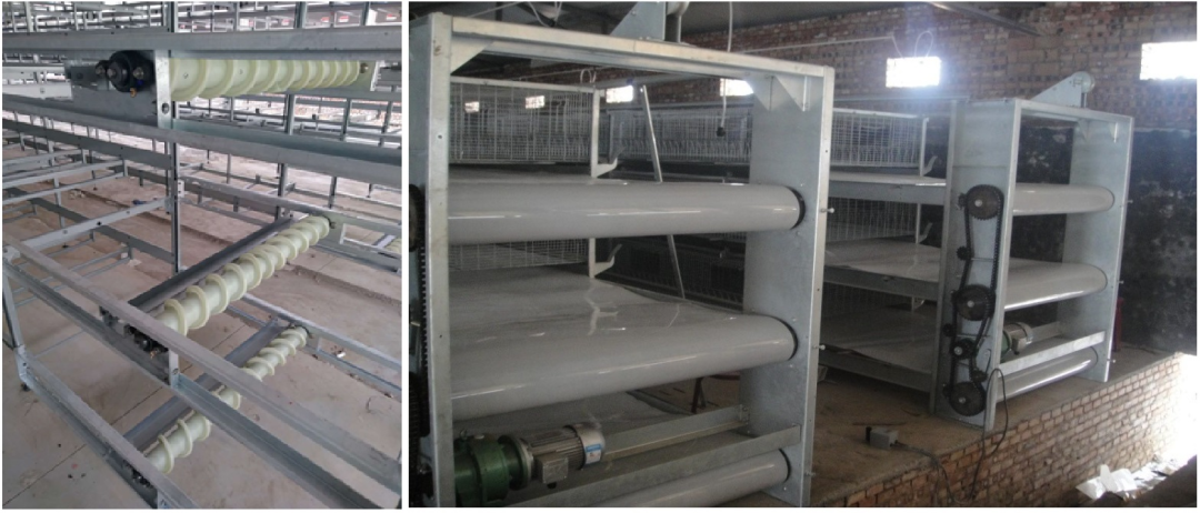 農(nóng)業(yè)農(nóng)村部發(fā)布《肉雞立體養(yǎng)殖技術(shù)指導(dǎo)意見(jiàn)》