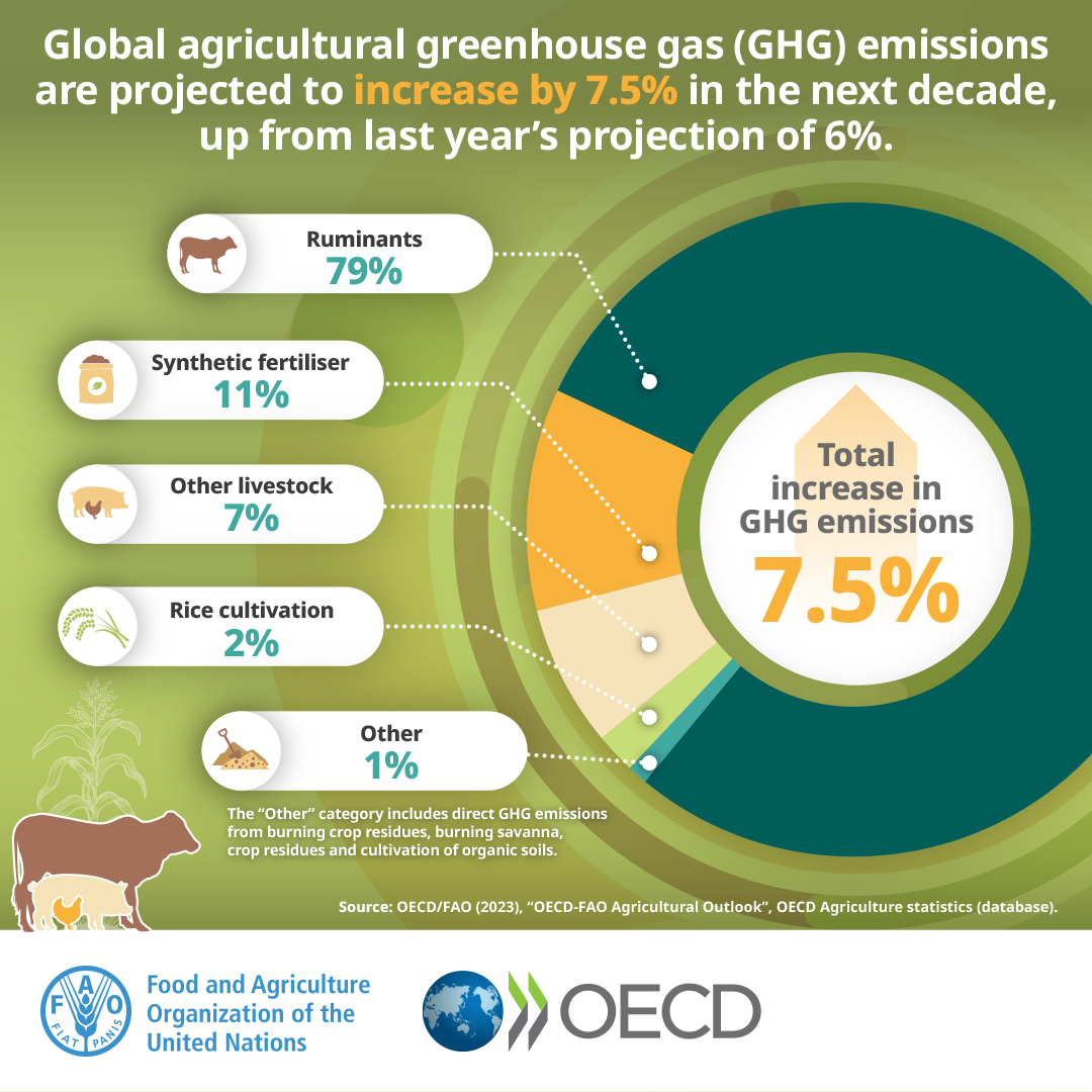 未來十年全球農業(yè)和糧食產量增長預計將放緩 未來十年全球農業(yè)和糧食產量增長預計將放緩