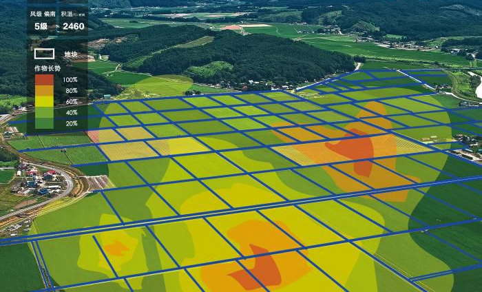 吳才聰教授：數(shù)字經(jīng)濟讓農業(yè)更智慧