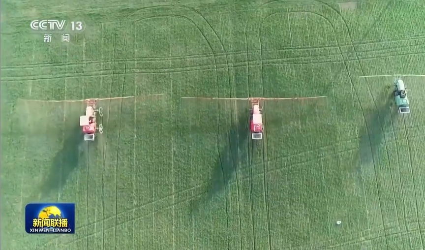 我國確定2024年糧食生產總體目標 我國確定2024年糧食生產總體目標