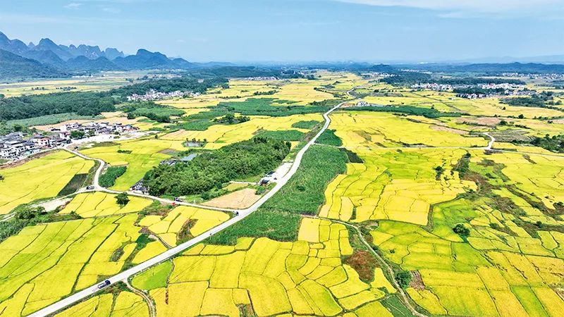 中央農(nóng)辦：有力有效推進鄉(xiāng)村全面振興