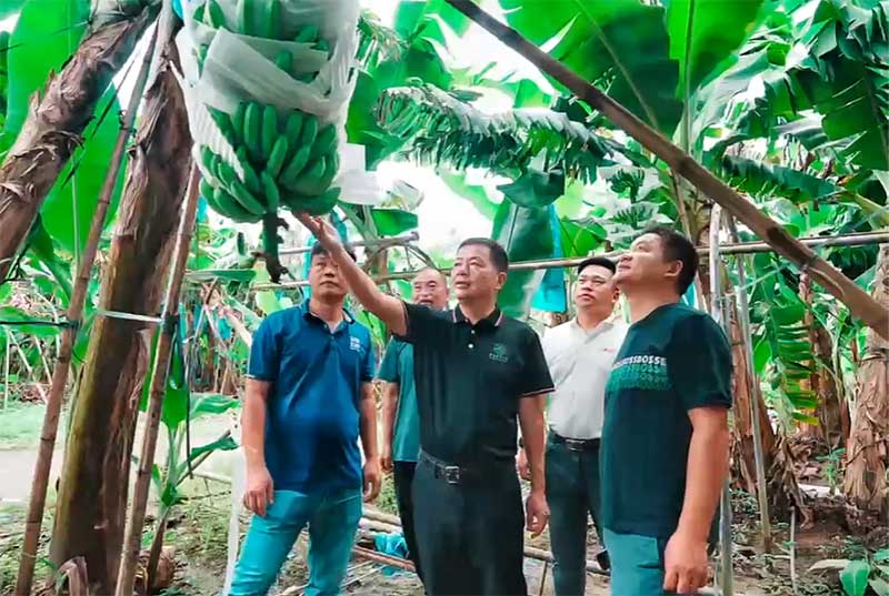 菌肥時代來了!治理土壤“疑難雜癥”引領綠色農業新風尚 菌肥時代來了!治理土壤“疑難雜癥”引領綠色農業新風尚